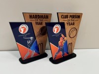 Custom wooden option 2