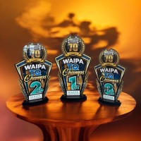 Kihikihi Speedway Waipa Champs example 2024 25