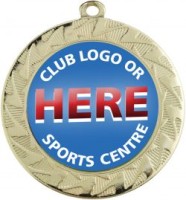ME242G logo 250x269