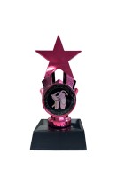 Starlink Pink
