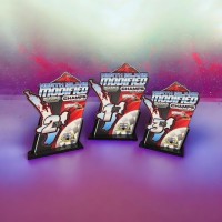 Stratford Speedway North Island Modified Championship