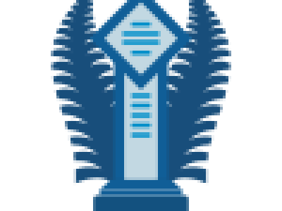 Custom Awards